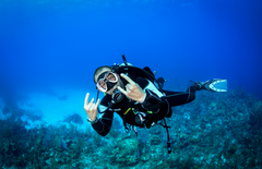 Scuba Diving