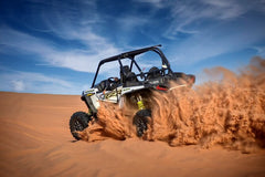 Desert Buggy Adventure