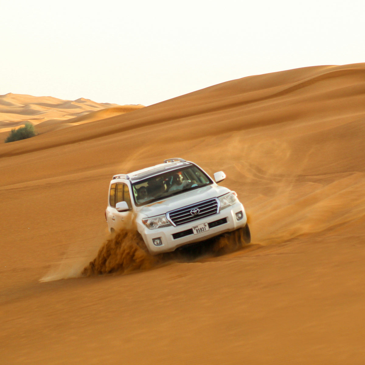 D-Xtreme Desert Safari