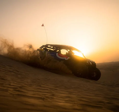 Desert Buggy Adventure